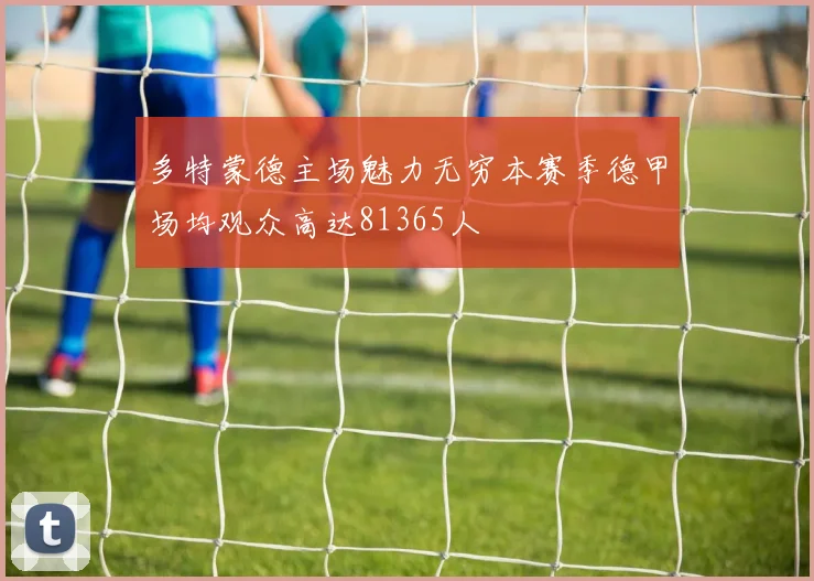 多特蒙德主场魅力无穷本赛季德甲场均观众高达81365人